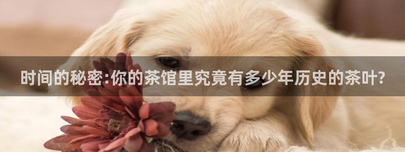 彩名堂到底怎么看,一跟就挂