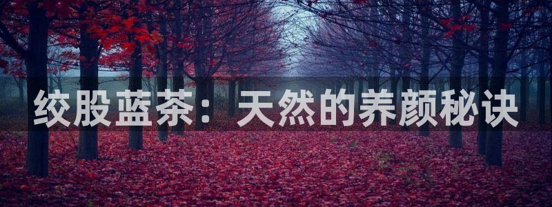 正规彩名堂官网计划01