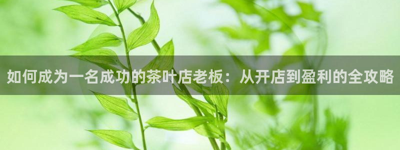 彩名堂计划怎么跟不挂