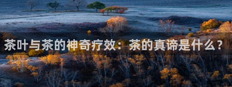 彩名堂好用还是千里马好用