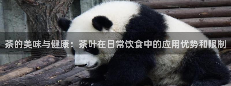 彩名堂免费计划官网5.0版下载链接