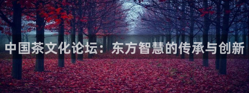 彩名堂加拿大怎么买准确率高