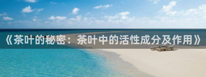 彩名堂移动客户端官网