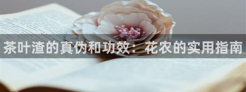 彩名堂免费计划官网5 0
