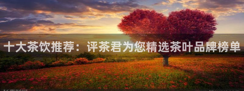 彩名堂最新计划app下载