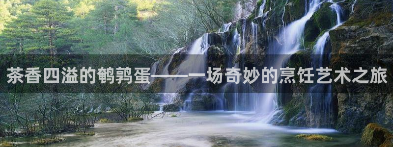 彩名堂计划怎么看