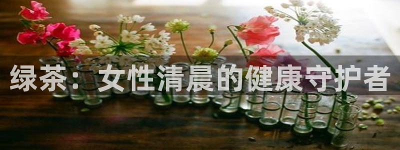 彩名堂全天计划