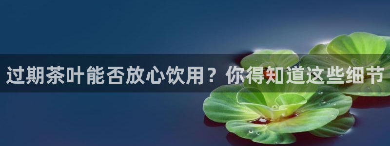 cmt彩名堂