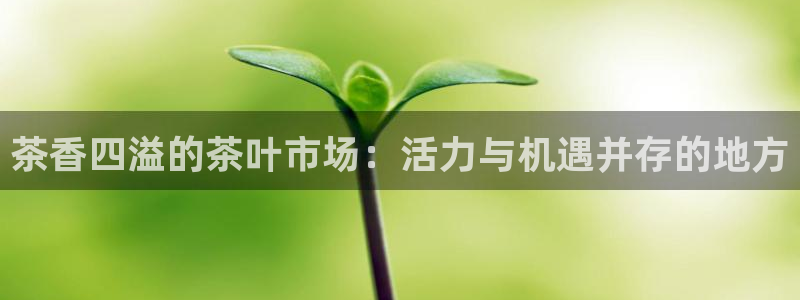 最新彩名堂计划