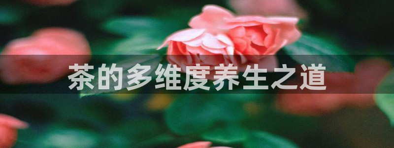 彩名堂是什么