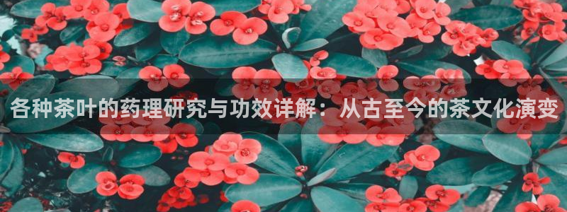 彩名堂客户端加拿大