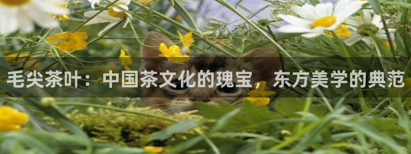 彩名堂预测免费计划app-彩名堂预测免费