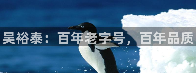 彩名堂预测免费计划怎么看的