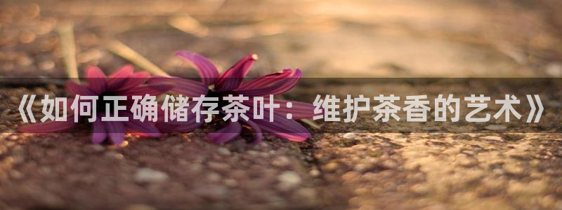 彩名堂计划怎么跟不挂