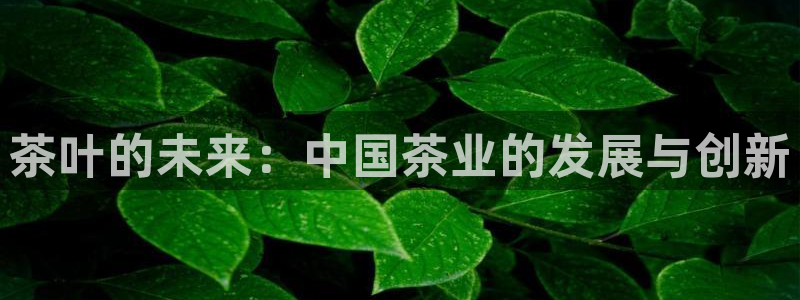 彩名堂计划最新版手机版