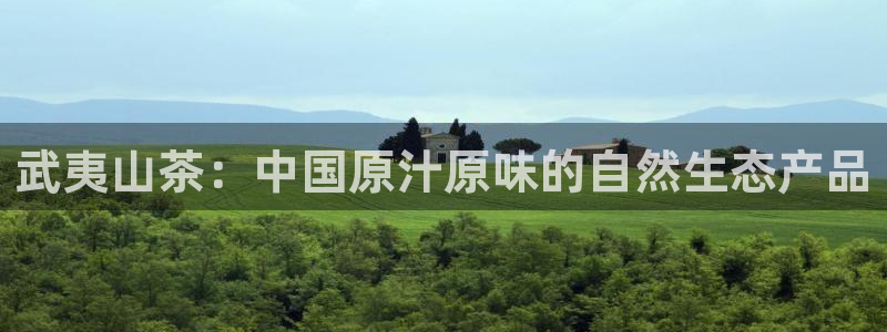 彩名堂官网2