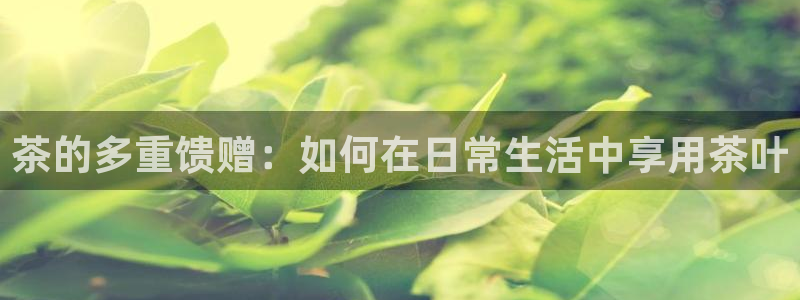 下载彩名堂预测计划软件