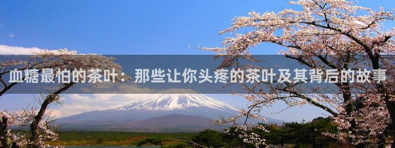 彩名堂5.0计划