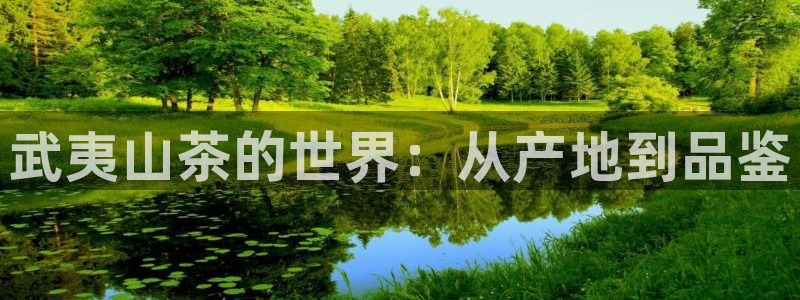 彩名堂合作655560