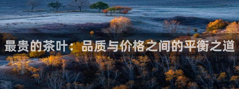 彩名堂预测免费计划app-彩名堂预测免费