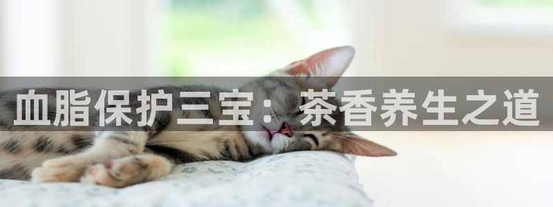 彩名堂计划软件下载