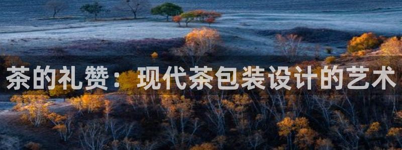 为什么彩名堂今天不能用