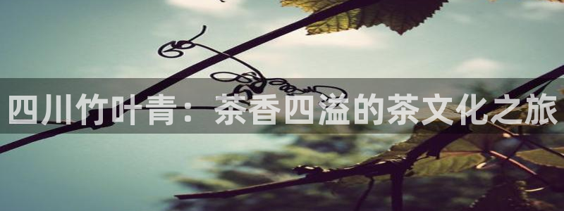 彩名堂手机客户端官网
