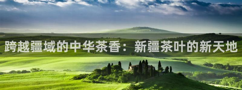 彩名堂最新免费计划官网