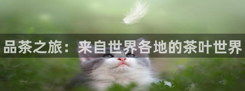 彩名堂怎么用不了了