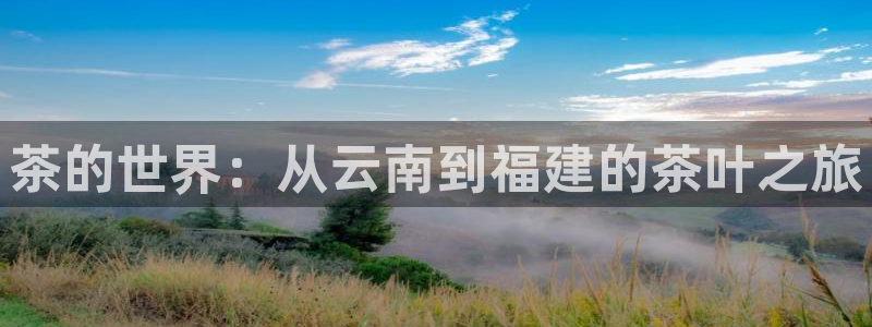 下载苹果手机版彩名堂