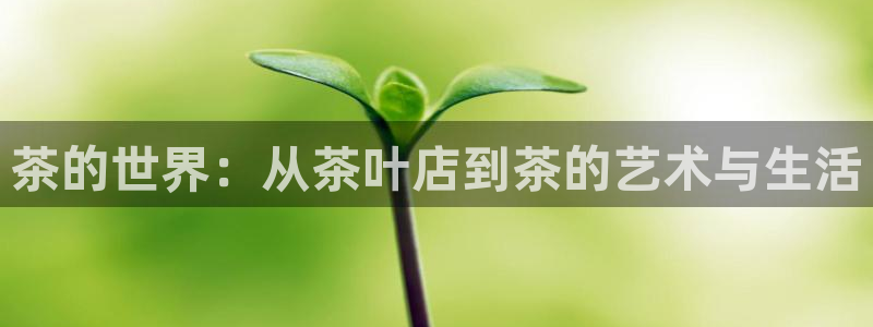 彩名堂客户端是永久免费吗是真的吗