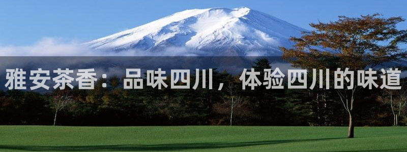 彩名堂旧版本