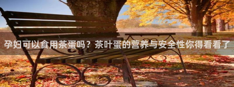 彩名堂双彩网