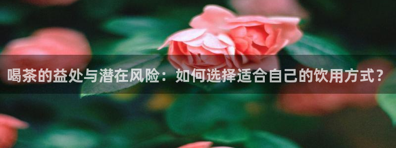 彩名堂官网2