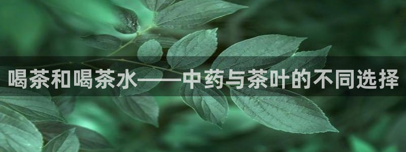 彩名堂最新免费计划官网