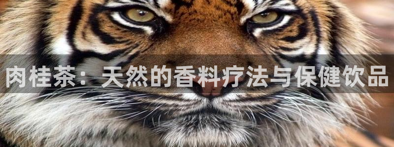 彩名堂怎么打不开了