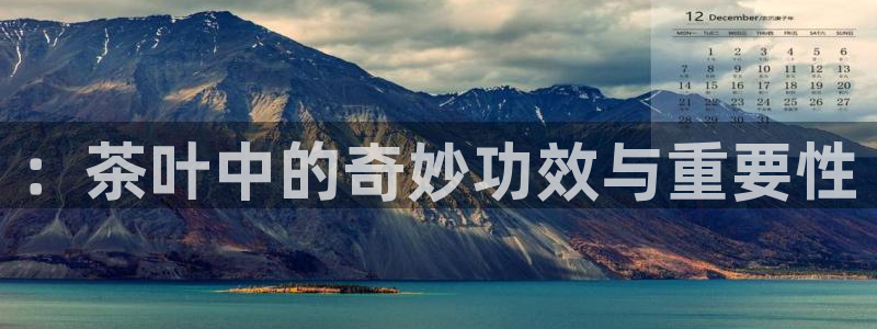 彩名堂App下载