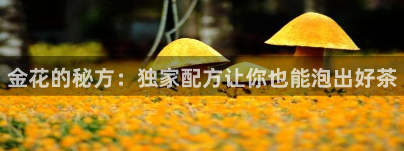 彩名堂预测