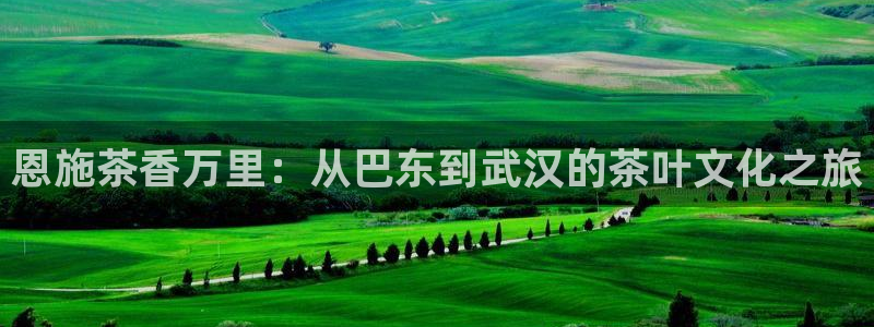 彩名堂预测免费计划怎么看的