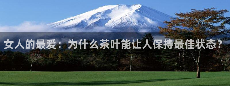 彩名堂双彩网
