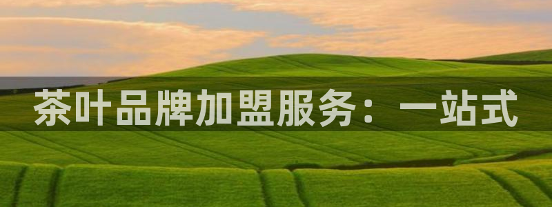 彩名堂app官方网址是多少
