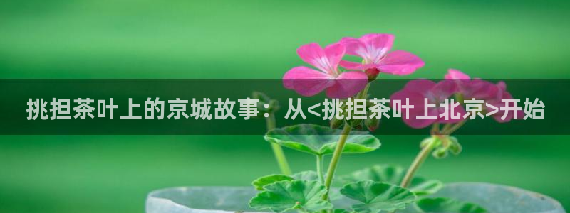 彩名堂和01计划哪个好