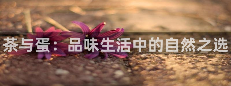 彩名堂app彩名堂客户端
