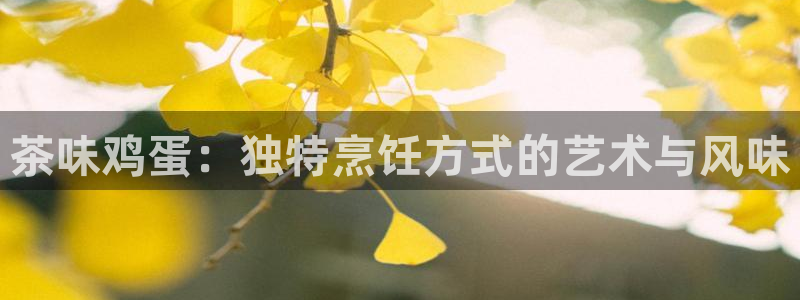 彩名堂免费计划使用方法是什么