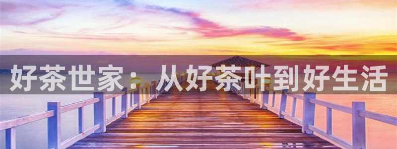最新彩名堂计划
