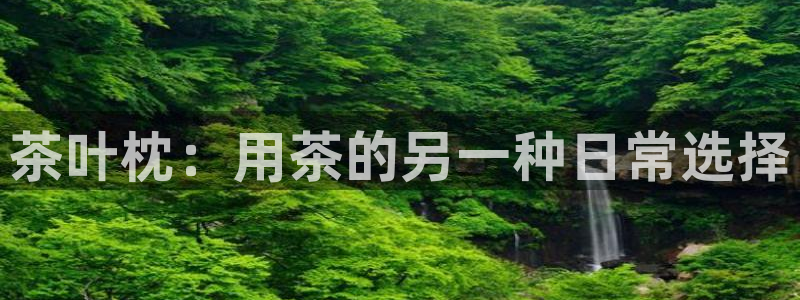 彩名堂首页