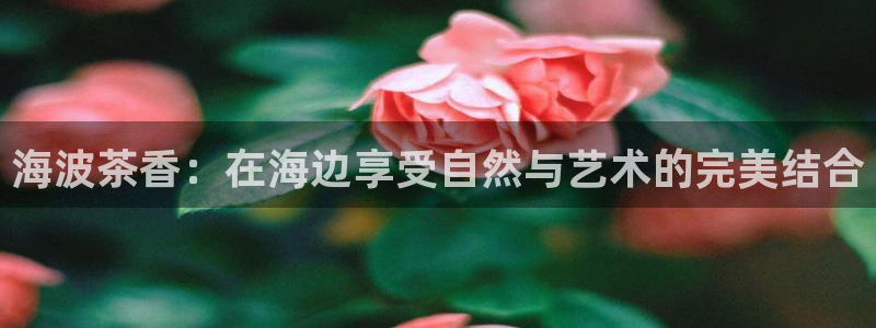 彩名堂怎么跟计划才不连挂呢