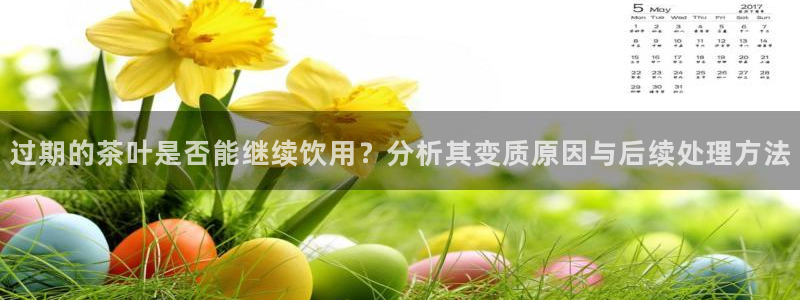 彩名堂预测软件与分析软件区别