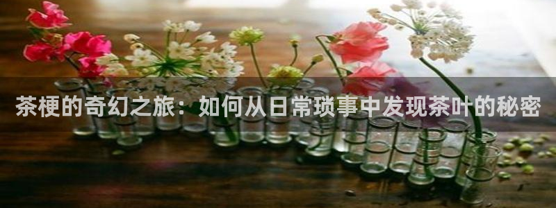 彩名堂预测免费计划app-彩名堂预测免费
