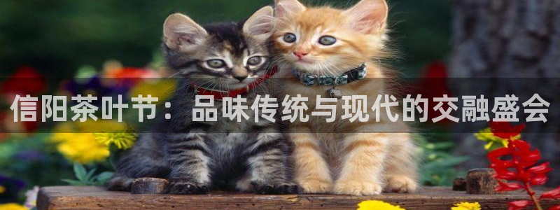 下载彩名堂预测计划软件